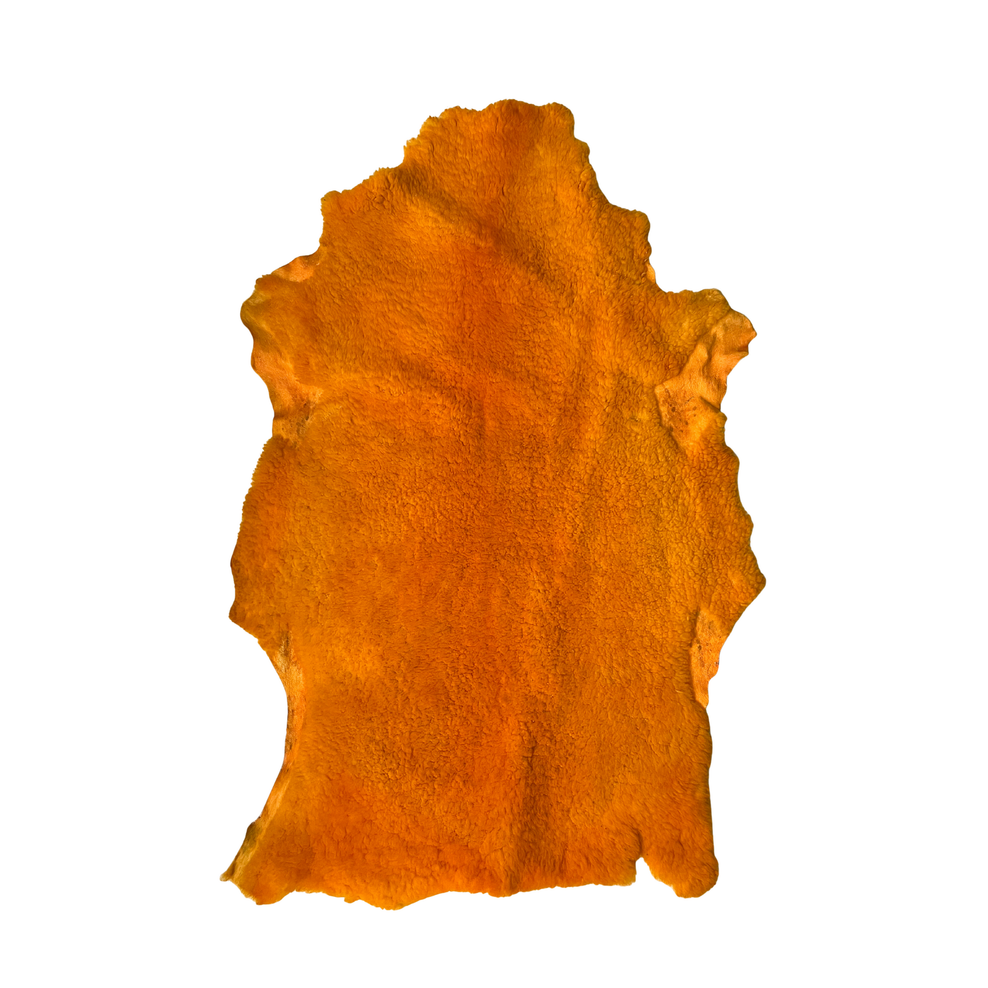 Borrega teñida de amarillo
