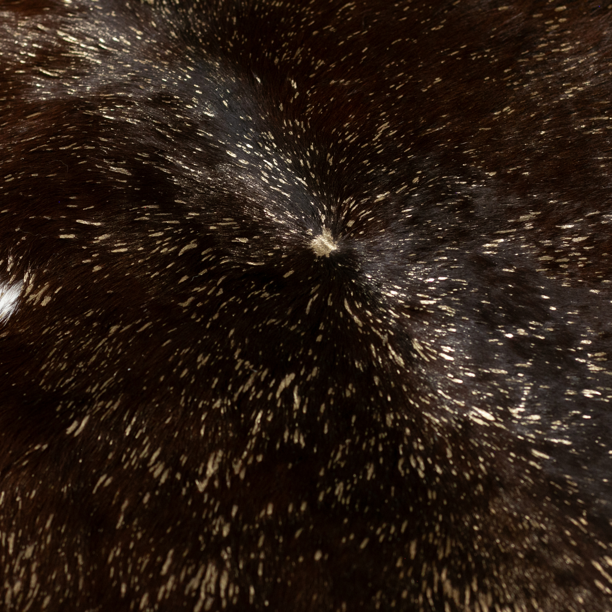 Becerro destellos dorados