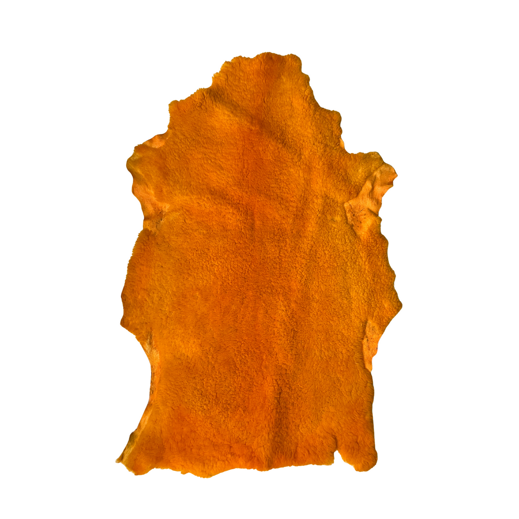 Borrega teñida de amarillo