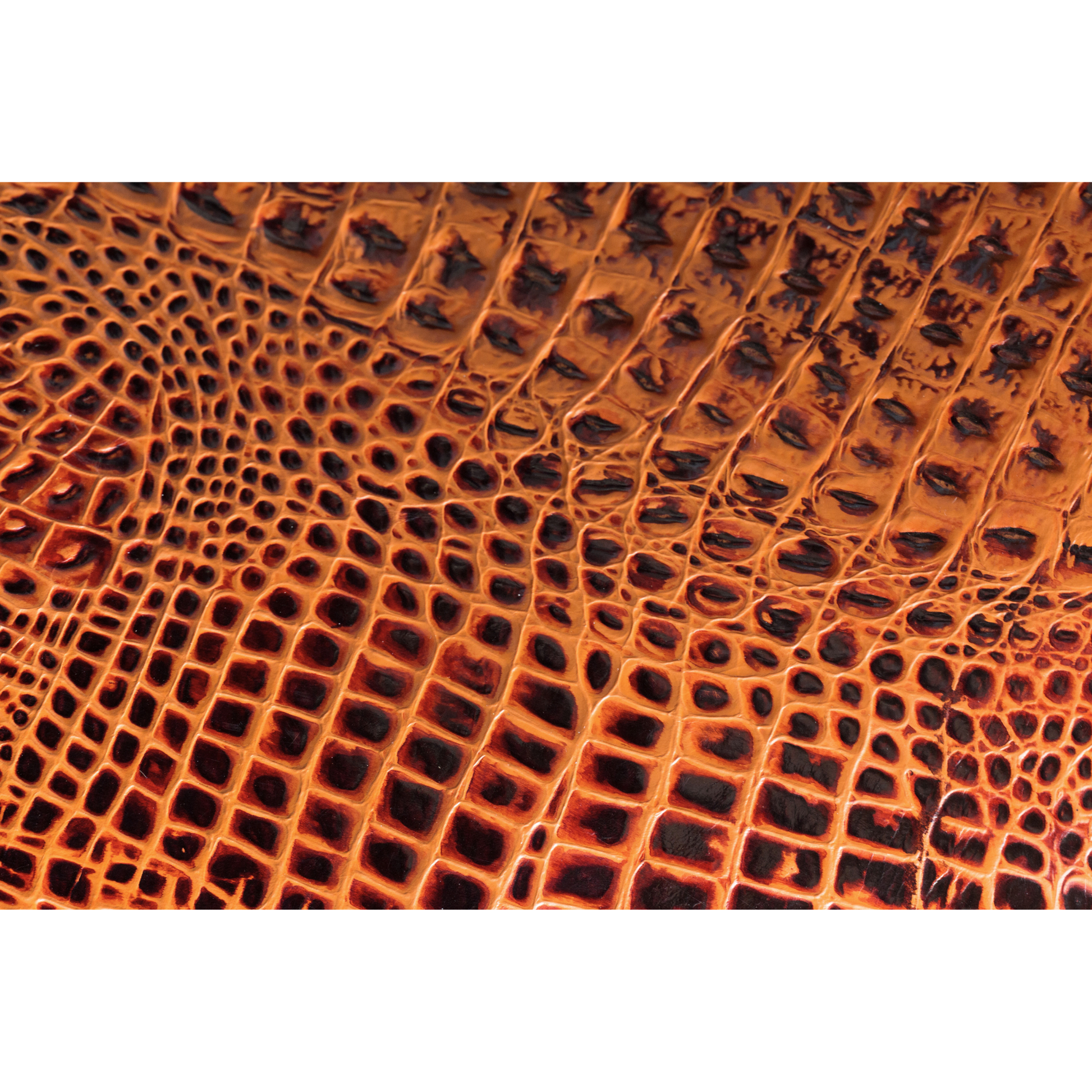 Orange crocodile butterfly chair