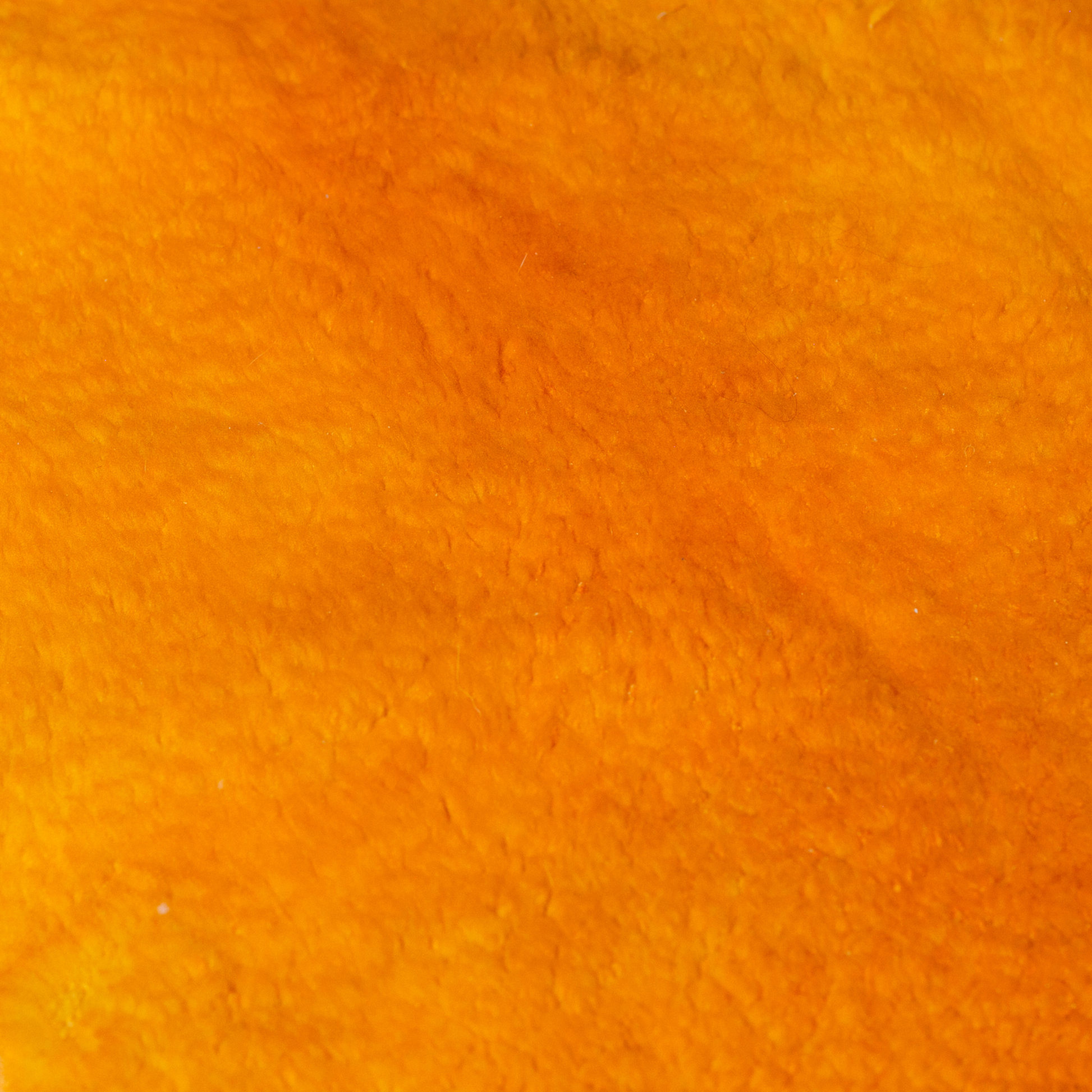 Borrega teñida de amarillo