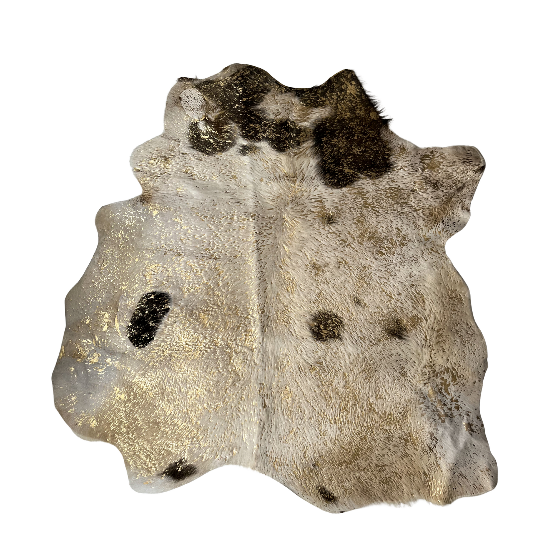 Calf with golden flashes