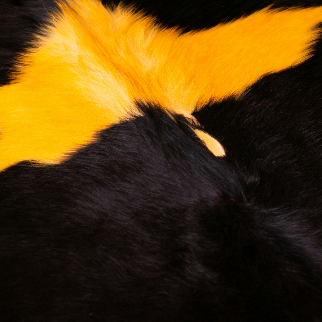 Becerro amarillo