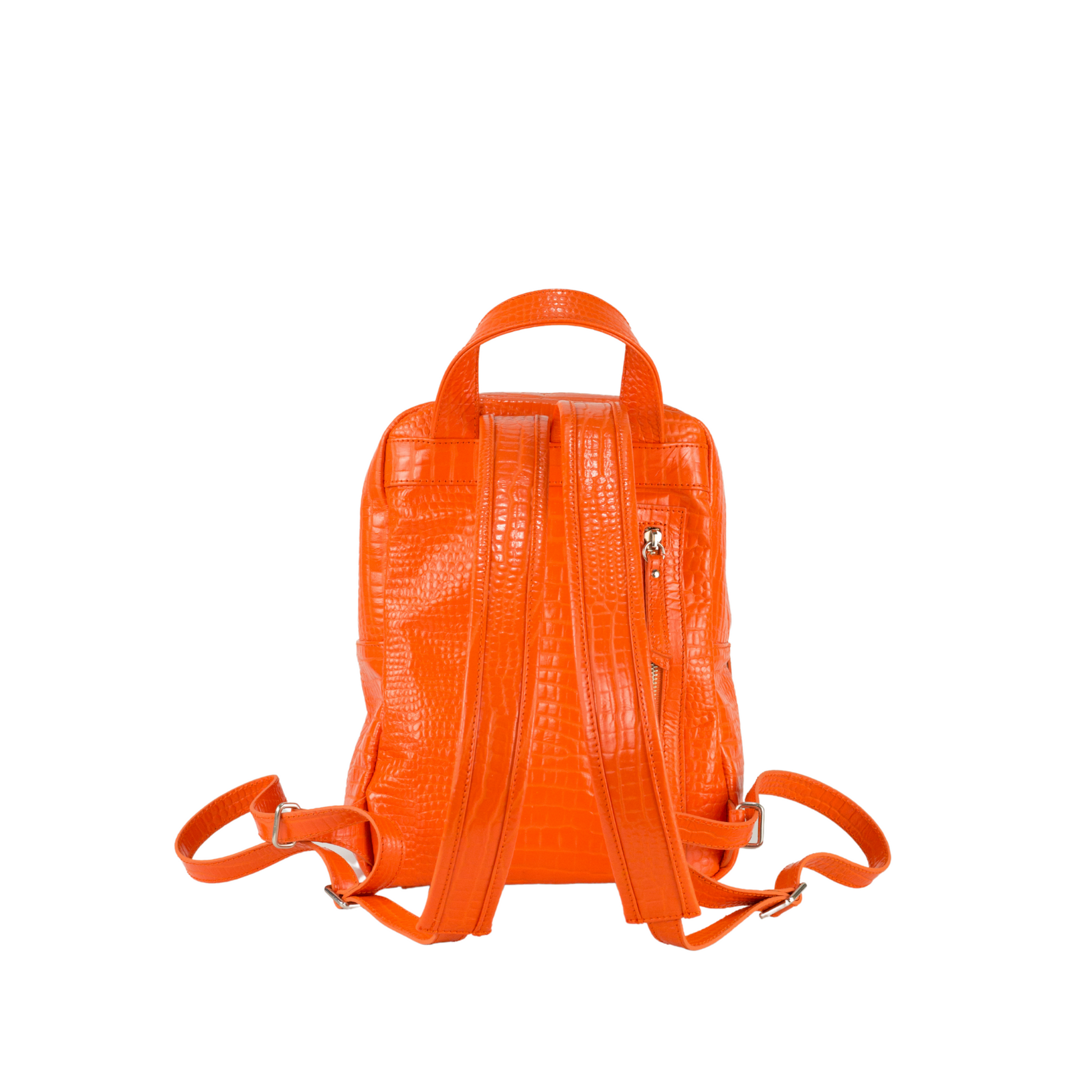 Mochila Draco cocodrilo