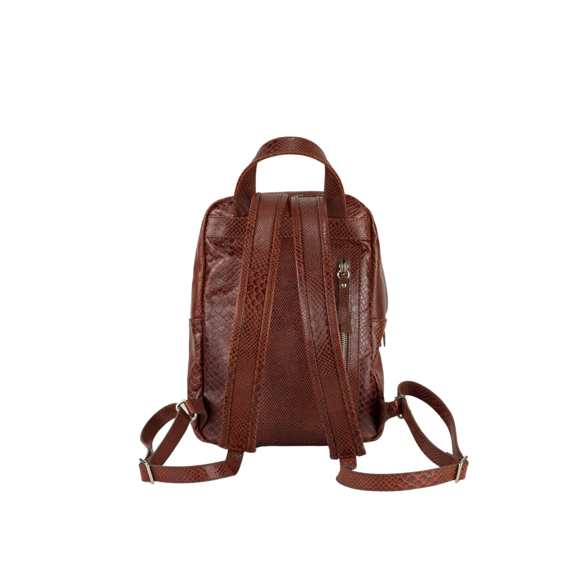 Mochila Draco
