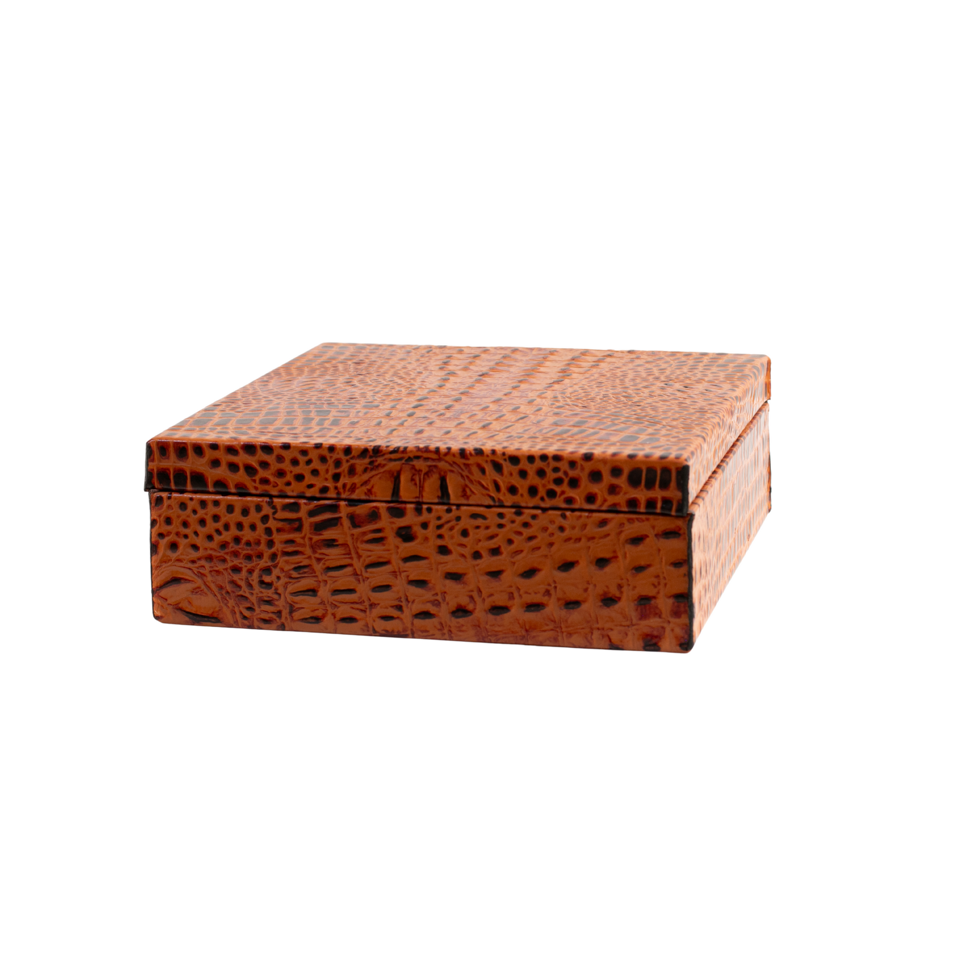 Caja cuadrada cocodrilo naranja